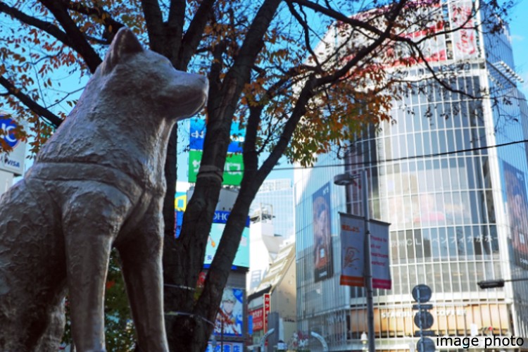 渋谷のイメージ画像